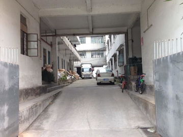 東莞市農(nóng)村社區(qū)集體資產(chǎn)管理網(wǎng) 新南村富旭基廠資產(chǎn)管理解析
